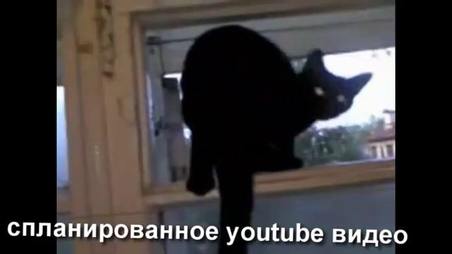 This is Хорошо Эпизод №38 Копротошка смотреть онлайн