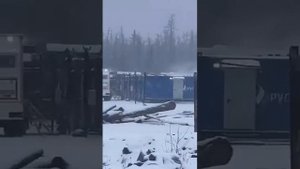 Медведь и человек. Медведь напал. Нападение медведя