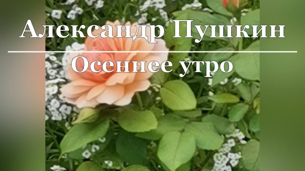 Александр Пушкин - Осеннее утро смотреть онлайн