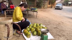Harvesting melon Goes to the market sell, king kong amazon, Vàng Hoa
