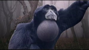 17 Gibbon Screaming sound variation