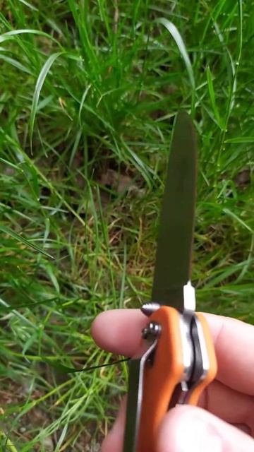 Ontario Rat Folder Model 1 China