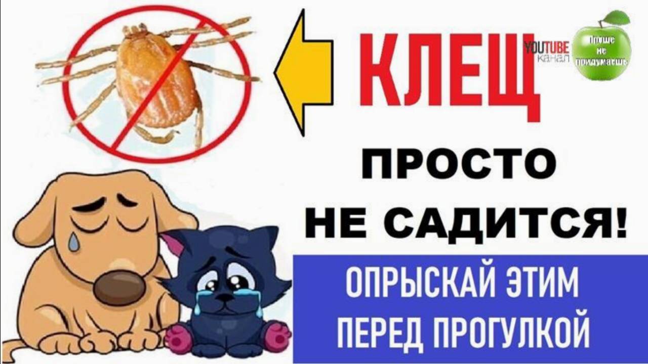 Клещ просто Не садиться. Воспользуйся перед прогулкой!