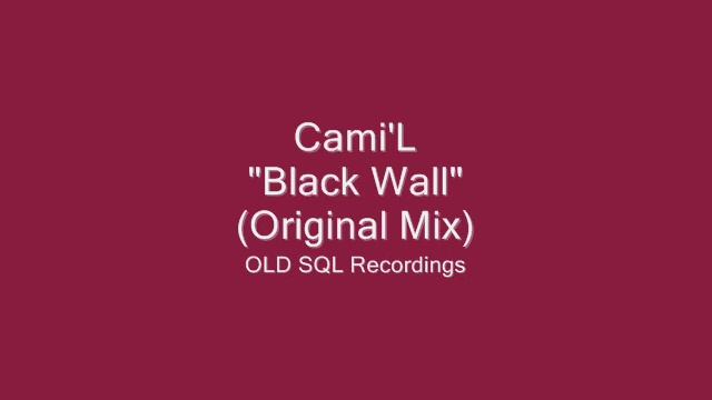 Cami'L - Black Wall (Original Mix) смотреть онлайн