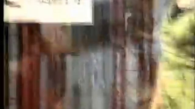 Мурена(девочка стреляй).mpg смотреть онлайн