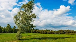 ЗВУК СИЛЬНОГО ВЕТРА. Звуки Ветра. Шум Ветра