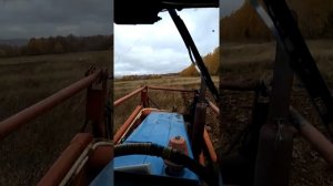 Вспашка целины на тракторе МТЗ 80 с плугом ПЛН 3-35