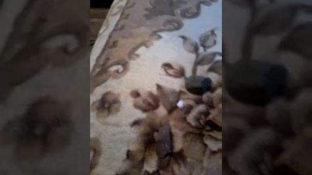 Коллекция камней смотреть онлайн