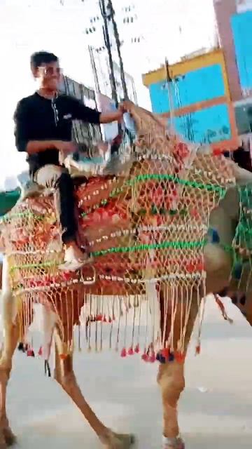 May 30, 2023 смотреть онлайн