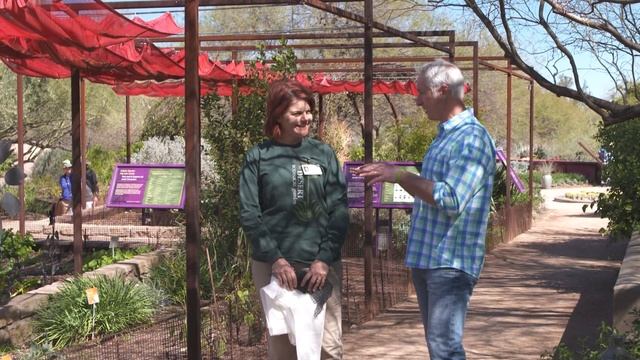 Growing a Greener World Episode 806 - Gardening in the Desert Southwest смотреть онлайн