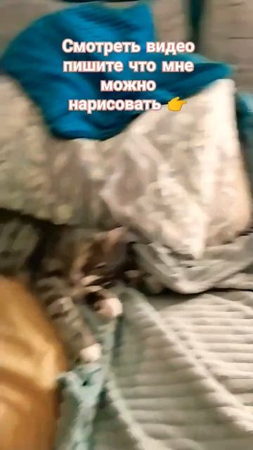 #music #рекомендации #музыка ТГК Маша Капибара 🔥💥 смотреть онлайн