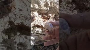 На месторождении агатов ... вспоминаем летние походы.
