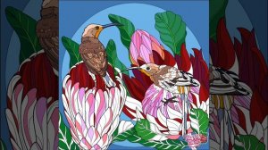 Птицы 471-480