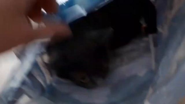 ПАКЕТНЫЙ ДОМИК ДЛЯ КОШЕК😄 смотреть онлайн