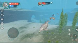 Вайлд Крафт. ИГРАЮ ЗА ДЕЛЬФИНА!!!