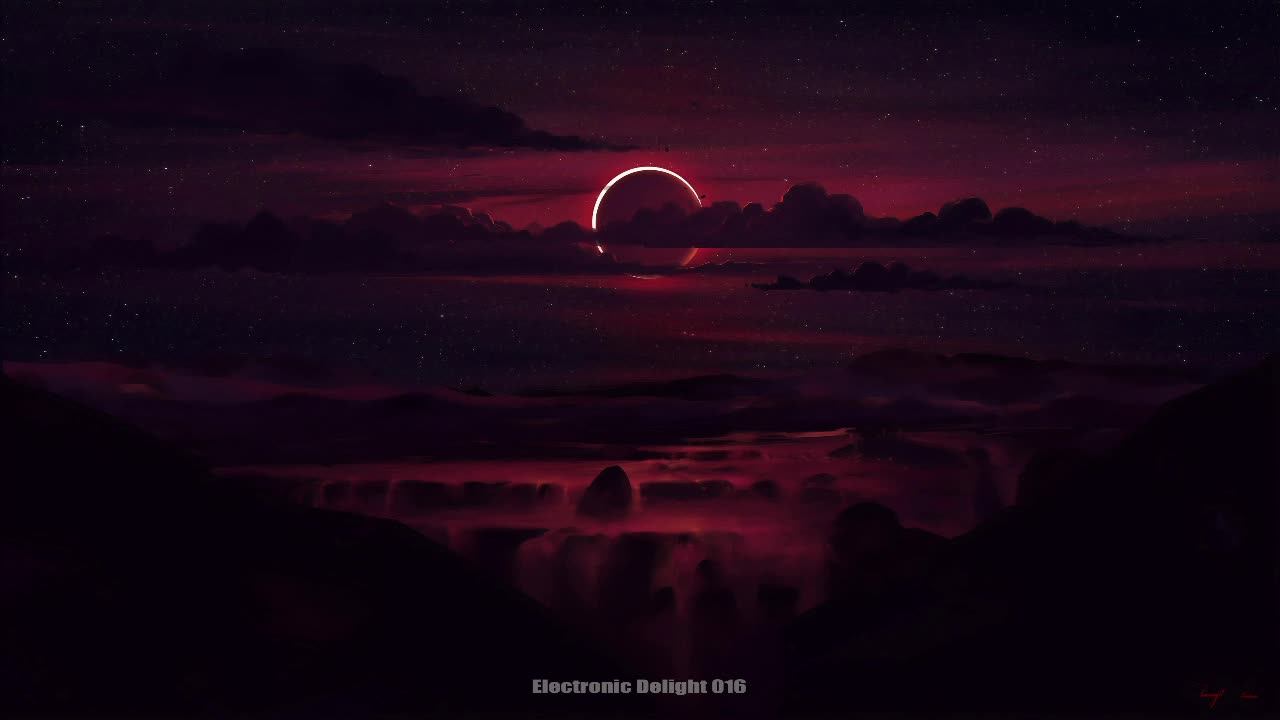 Electronic Delight 016