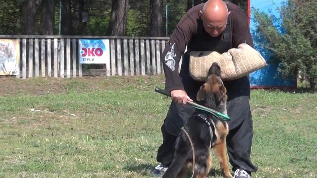 Яшма Зависть Богов, 4 месяца смотреть онлайн