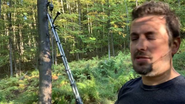 Keen Ranger PT Cellular Trail Camera: 360° Live View of your Hunting Area! Pan, Tilt & Zoom смотреть онлайн