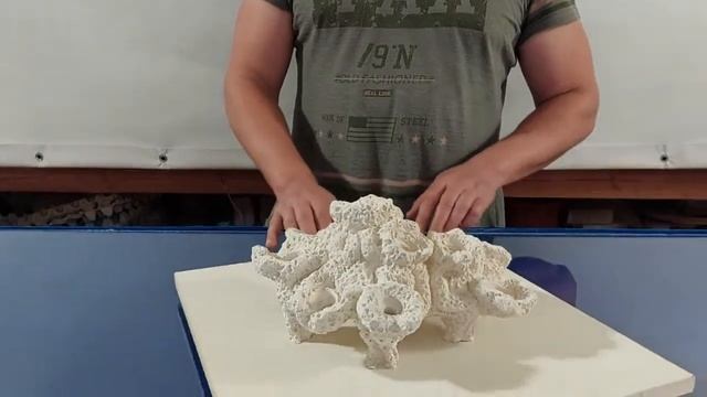 Декорация "Мозговик" ГДМ-77-Т смотреть онлайн