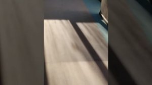 хожу и болтаю в отеле Изумруд