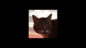 Haddaway - What Is Love (slowed+bass boosted)