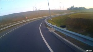 Лось на трассе