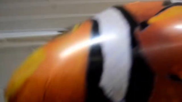 Летающая рыба