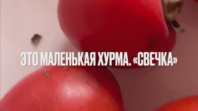 Такая разная, но такая вкусная! Хурма. Какой сорт выбрать.