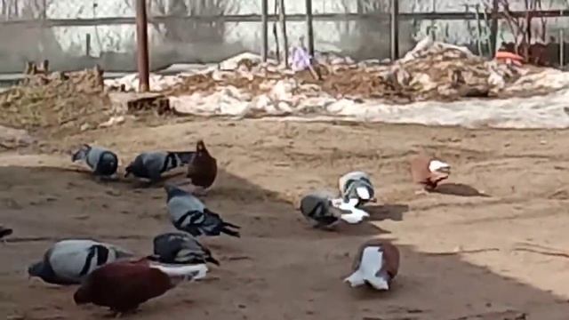 Обзор молодежи 03-04-2021 смотреть онлайн