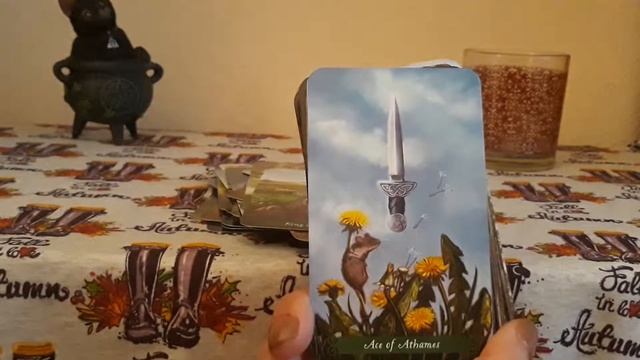 Таро Зелёной Ведьмы. The Green Witch Tarot. Обзор колоды