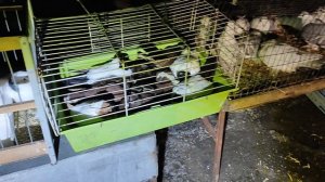 23.01.2025г Ярмарка Тула ч. 1