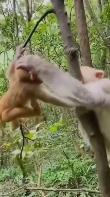 June 4, 2022 смотреть онлайн