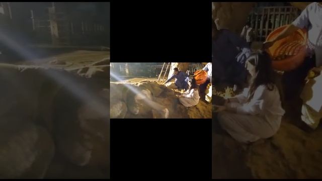 Yashma Gill Feeding and taking Care of Ailing Elephant Noor Jahan From Karachi Zoo | Hot