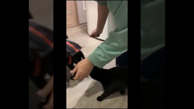 Чупи Сеня