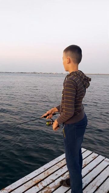 Ставрида Наноджиг Залив Черного Моря. смотреть онлайн