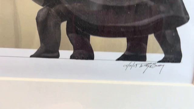 Auction: Amazing Art and Children's Books by Original Paleo-Artist || TortoiseLand EBay Fundraiser смотреть онлайн