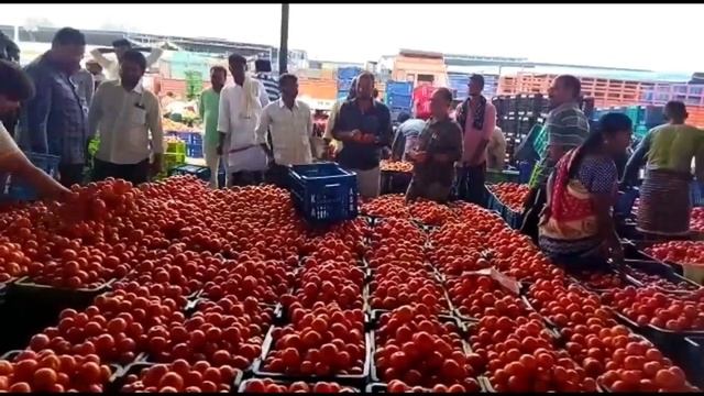 31-05-24#madanapalle tomato market price today#todaytomatoprice🍅#madanapalle#మదనపల్లి#sreenivasvlog смотреть онлайн