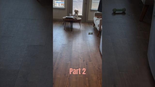 Day in the life of a Spoiled ShihTzu plus human makes me a Turkey Burger #dog #dogfood #dailyvlog смотреть онлайн