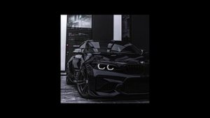 ласковый зверь kavkaz remix     bedanakov