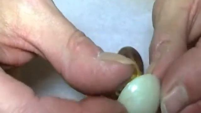 Mica and Polymer Clay Equals Magic! смотреть онлайн