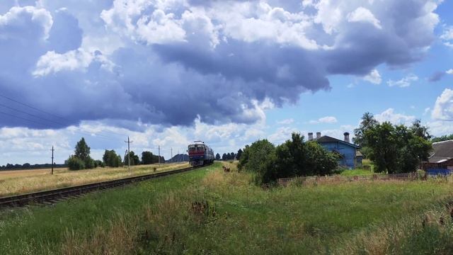 ЖД ПЕРЕЕЗД В БЕЛАРУСИ 🇧🇾 5.7.2024 (ЗА РОЖАНКОЙ) 58 ЧАСТЬ, ПОЕЗДА НЕДАЛЕКО ОТ О.П БОБРЫ 8 ЧАСТЬ