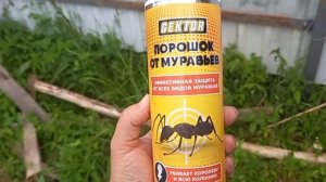 #Черничныйхутор дал совет как избавиться от муравьёв. #ИринаМалахитнадаче