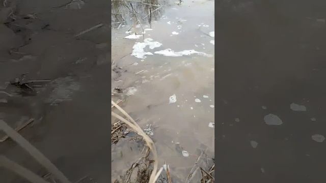 "Сколько б не было вам лет! Не грустите! Если вас не любят!!? Не беда! Вы любите!". смотреть онлайн