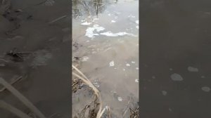 "Сколько б не было вам лет! Не грустите! Если вас не любят!!? Не беда! Вы любите!".