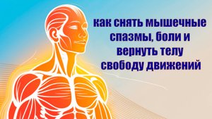 Как снять мышечные спазмы и вернуть телу свободу движений, убрать боль. Нейропластичность мозга
