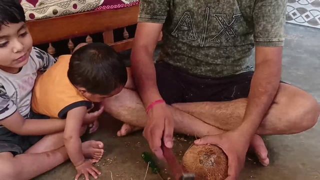 नारियल कैसे निकाले  coconut