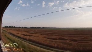 Дорога домой - Bakhtin.