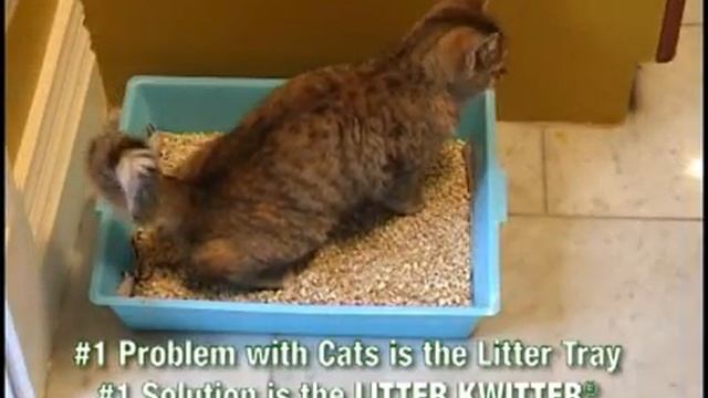 Litter Kwitter - The Original Cat Toilet Training System смотреть онлайн
