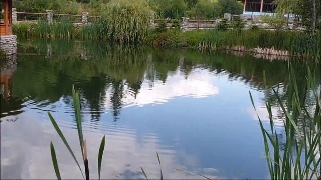 Колиба Східницька | Україна, Карпати, Східниця, 2019