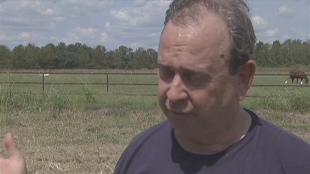 Giant Salvinia смотреть онлайн